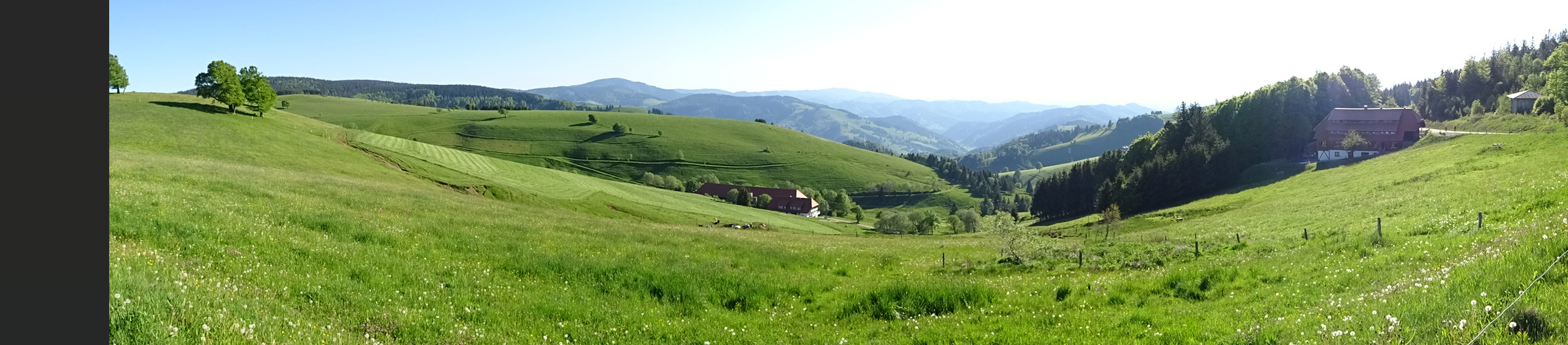 Schwarzwald Panorama Foto Bild Natur Landschaft Berge Bilder Auf Fotocommunity