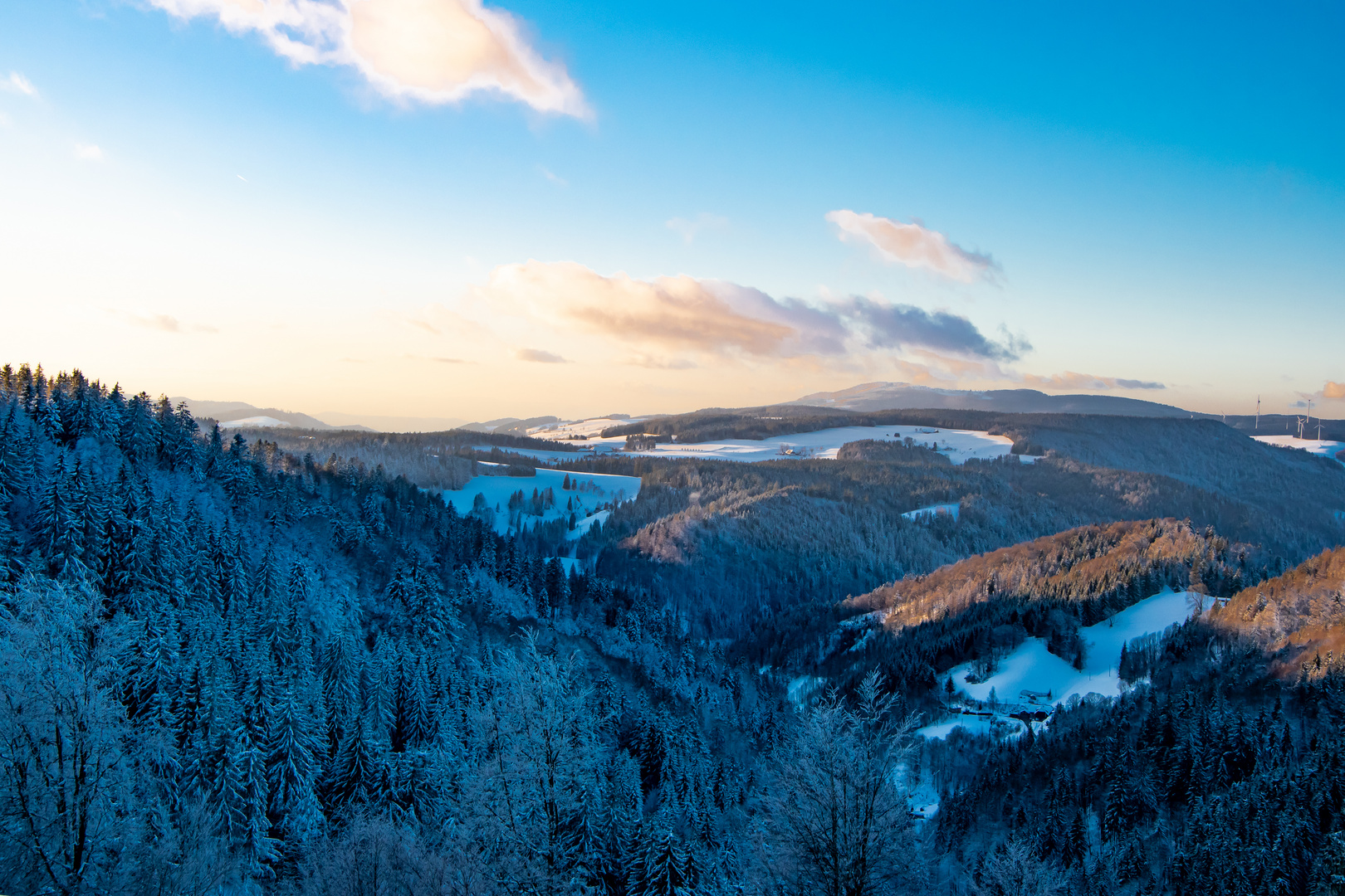 Schwarzwald Panorama im Winter