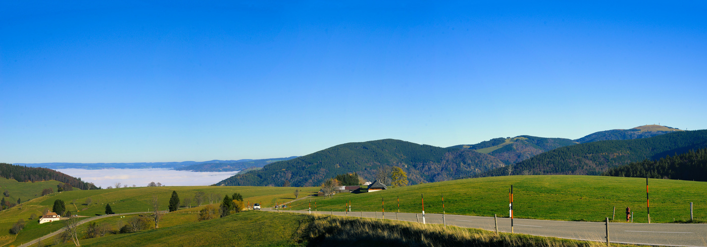 Schwarzwald pur