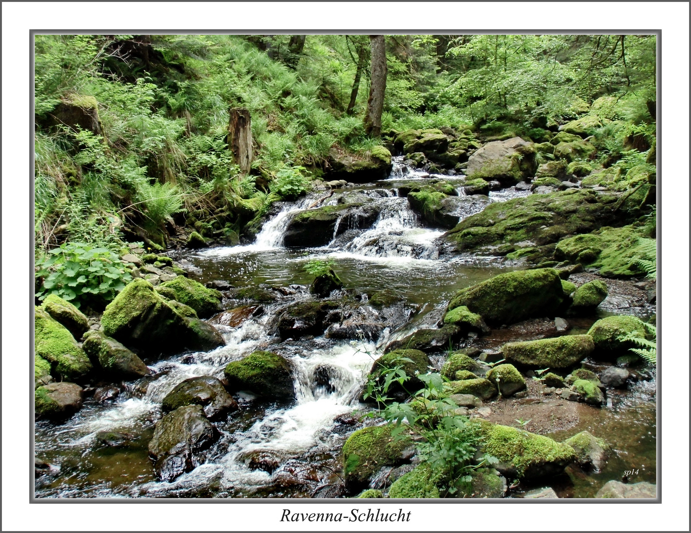 Schwarzwald - Ravennaschlucht