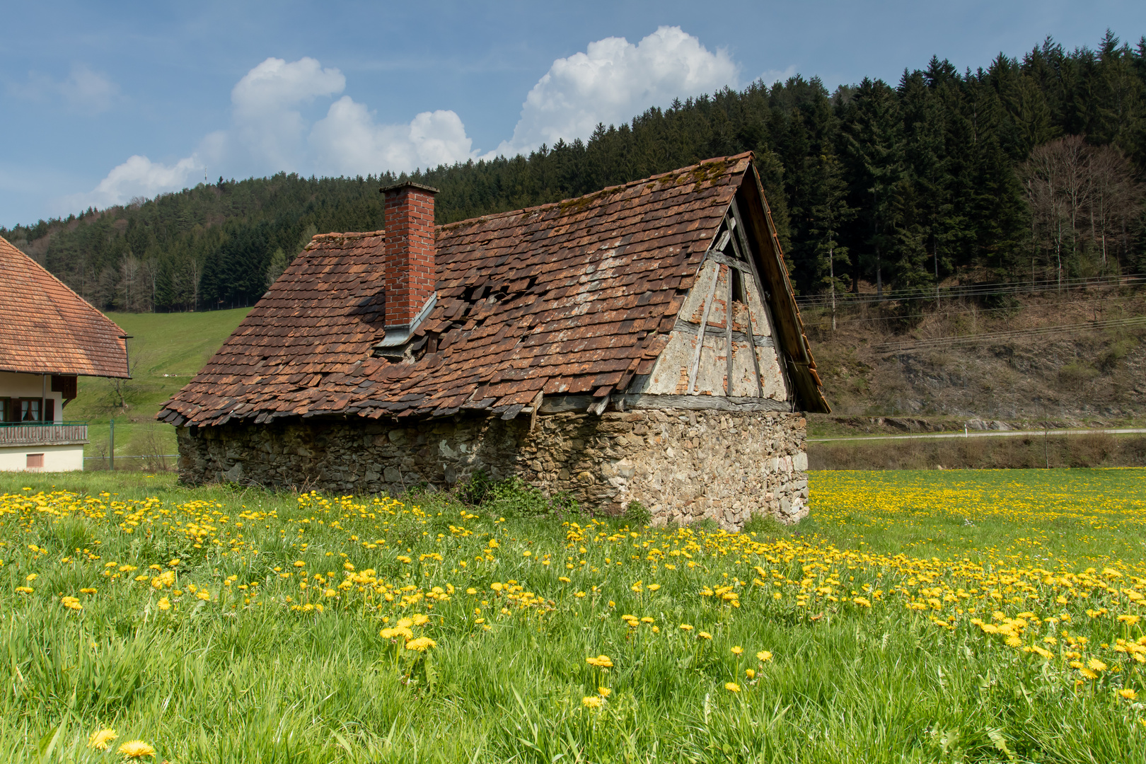 ***SCHWARZWALD ROMANTIK***