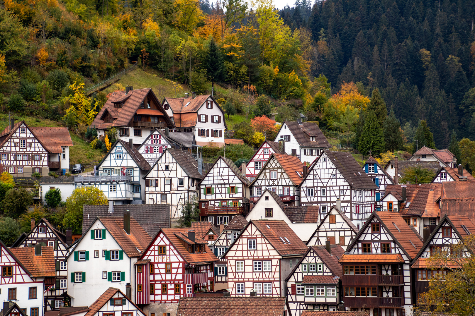 ***SCHWARZWALD ROMANTIK***