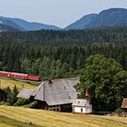 Schwarzwald. Romantik und Wirklichkeit