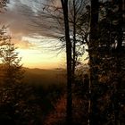 Schwarzwald Rotlicht