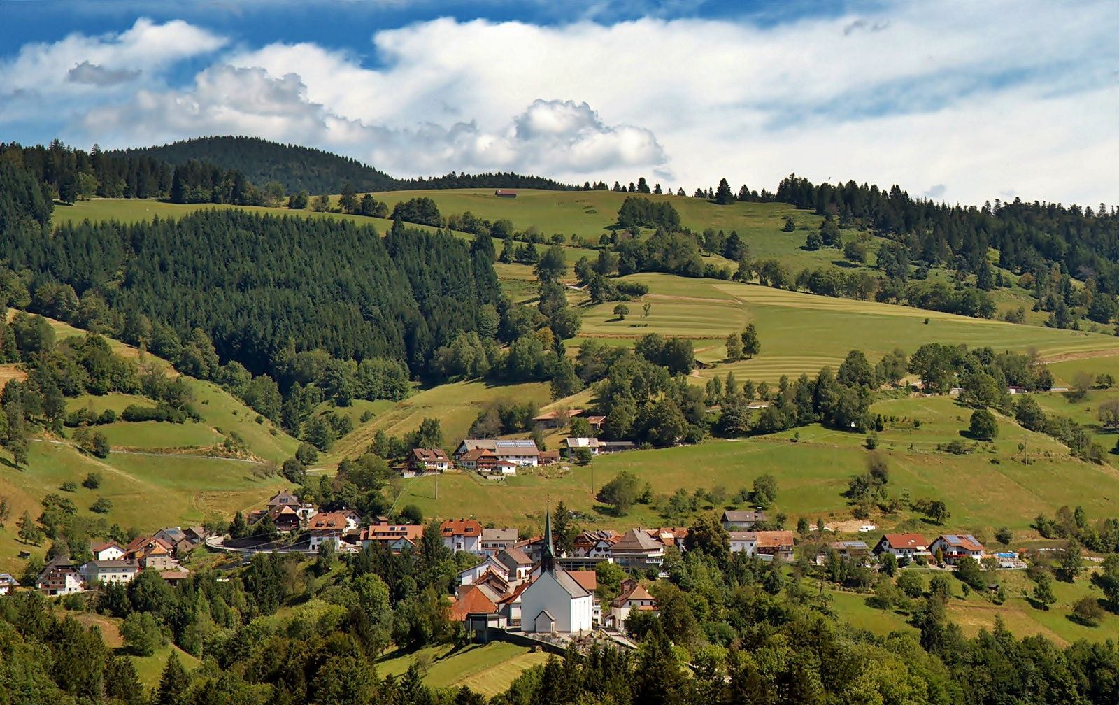 Schwarzwald-Sommer = Häg im Hinterhag