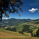 Schwarzwald-Sommer = im hinteren Wiesental