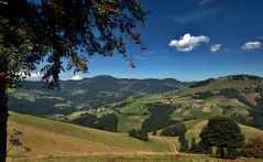 Schwarzwald-Sommer = im hinteren Wiesental