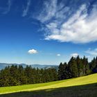 Schwarzwald-Sommer = war's das schon ?