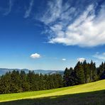 Schwarzwald-Sommer = war's das schon ?