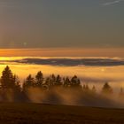 Schwarzwald Sonne beim Untergang