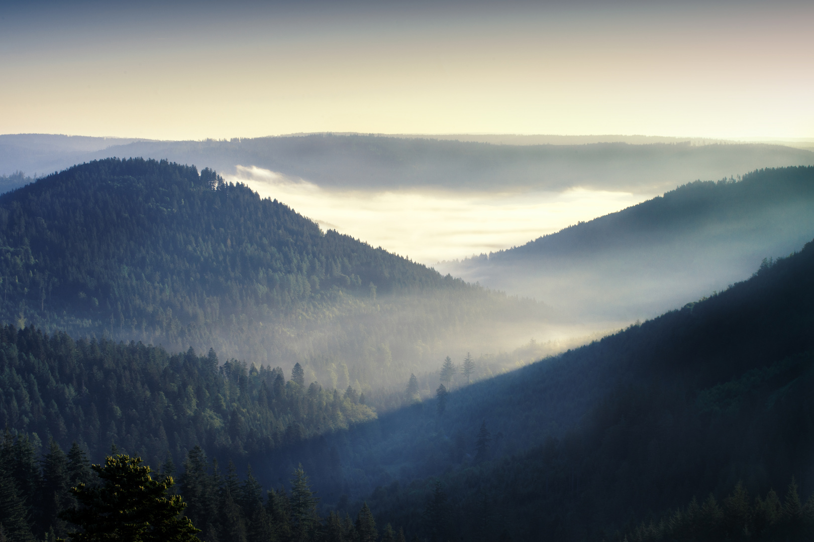 Schwarzwald Sonnenaufgang