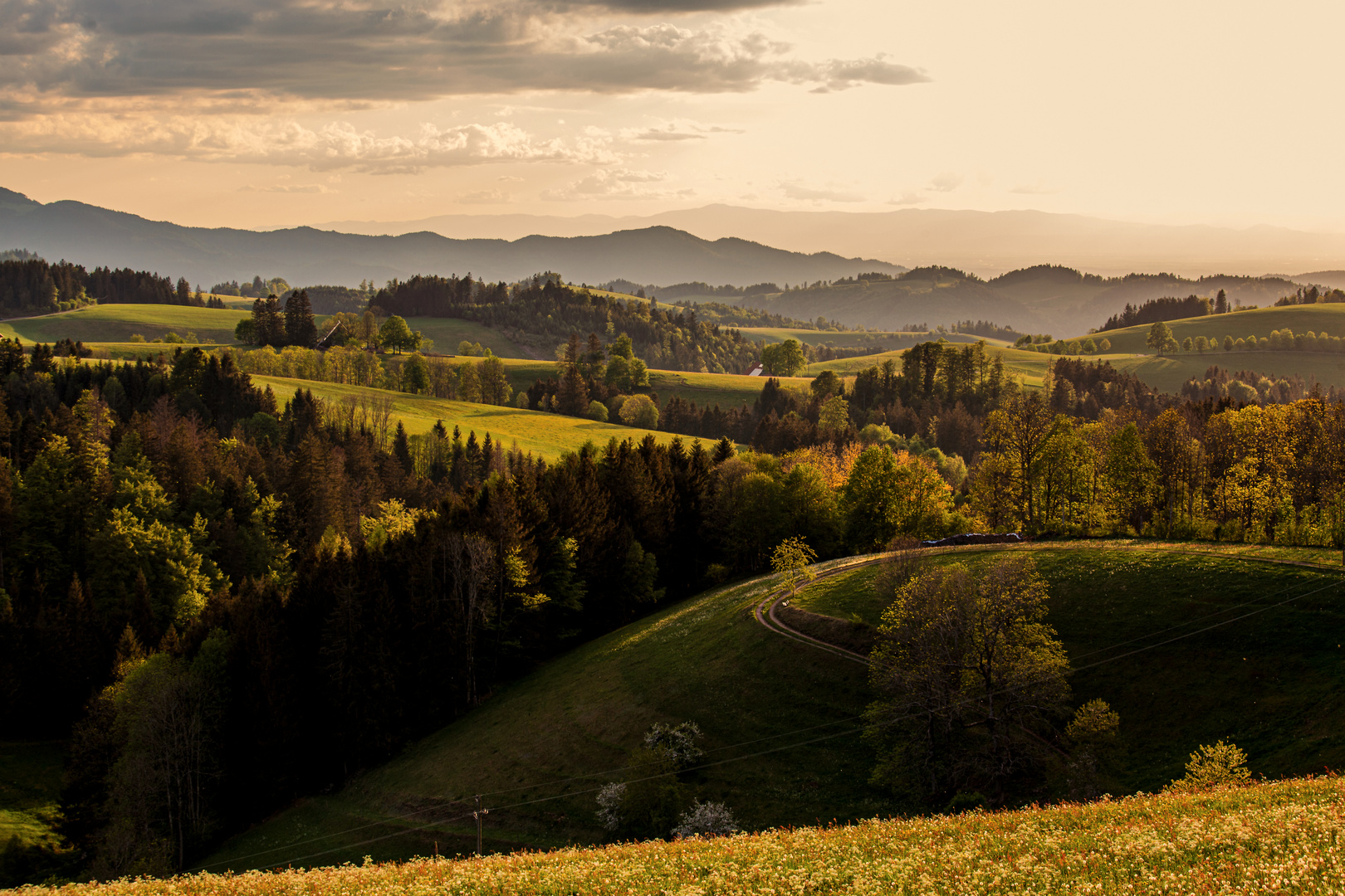 Schwarzwald St Märgen view 