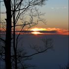 Schwarzwald sunset