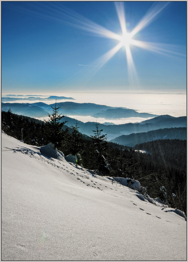 Schwarzwald Symphonie.