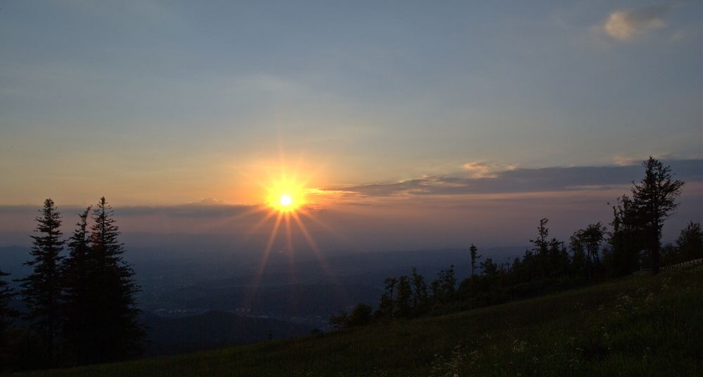 Schwarzwald - Tannen