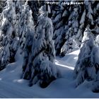 Schwarzwald THURNER-LOIPE: Herrliches Langlaufvergnügen