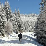 Schwarzwald u. Flöckchen