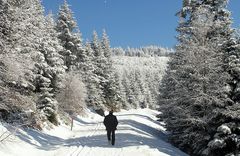 Schwarzwald u. Flöckchen