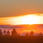 Schwarzwald über den Wolken