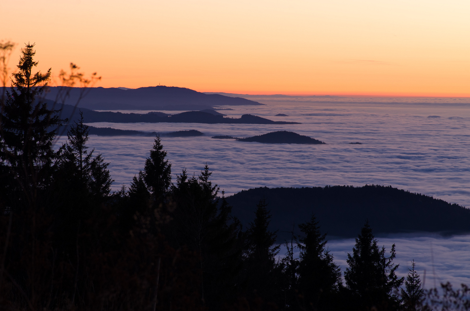 Schwarzwald über Wolken