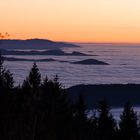 Schwarzwald über Wolken