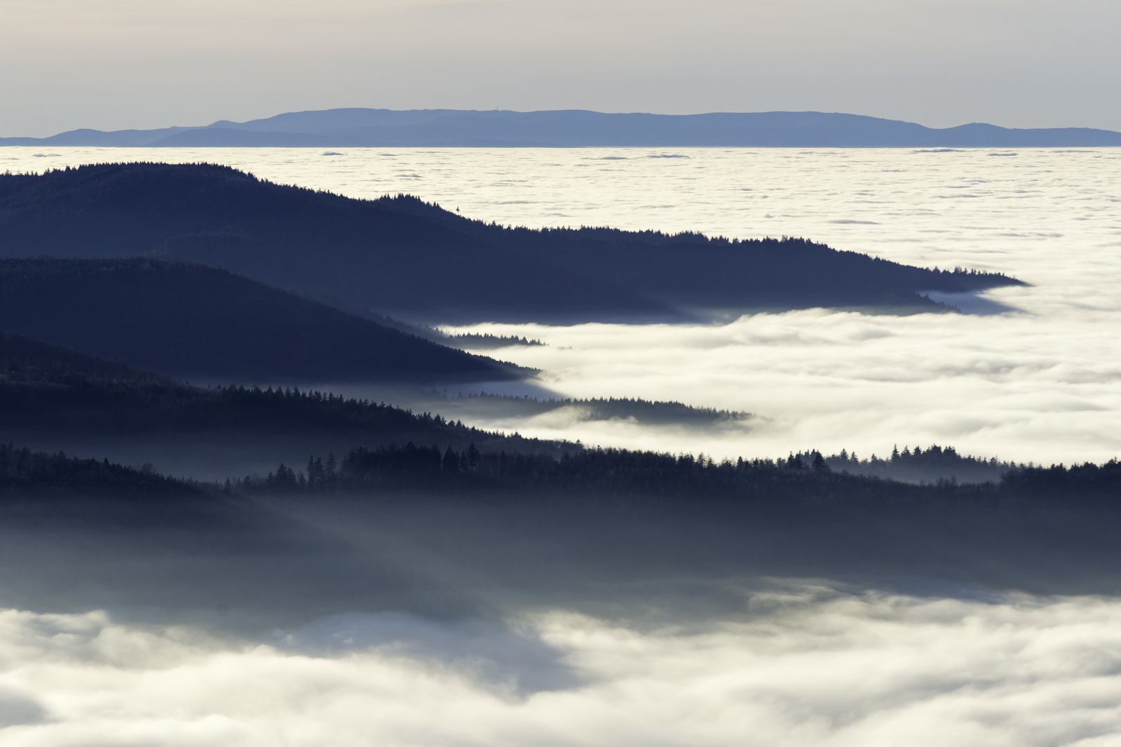 Schwarzwald und Vogesen