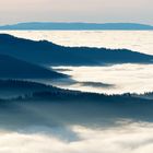 Schwarzwald und Vogesen