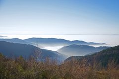 Schwarzwald unter Wolken Decke.