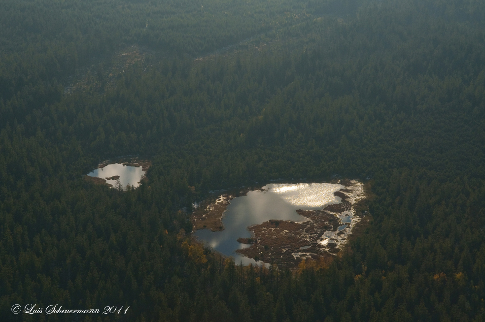 Schwarzwald von oben (11)