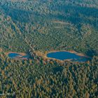 Schwarzwald von oben (13) - das Auge im Wald