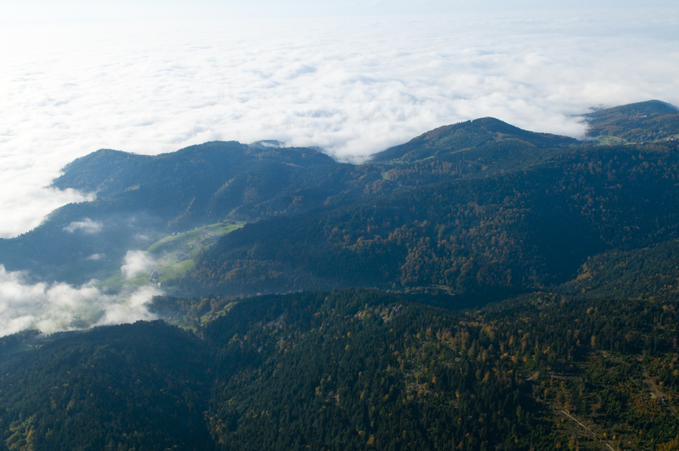 Schwarzwald von oben (5)