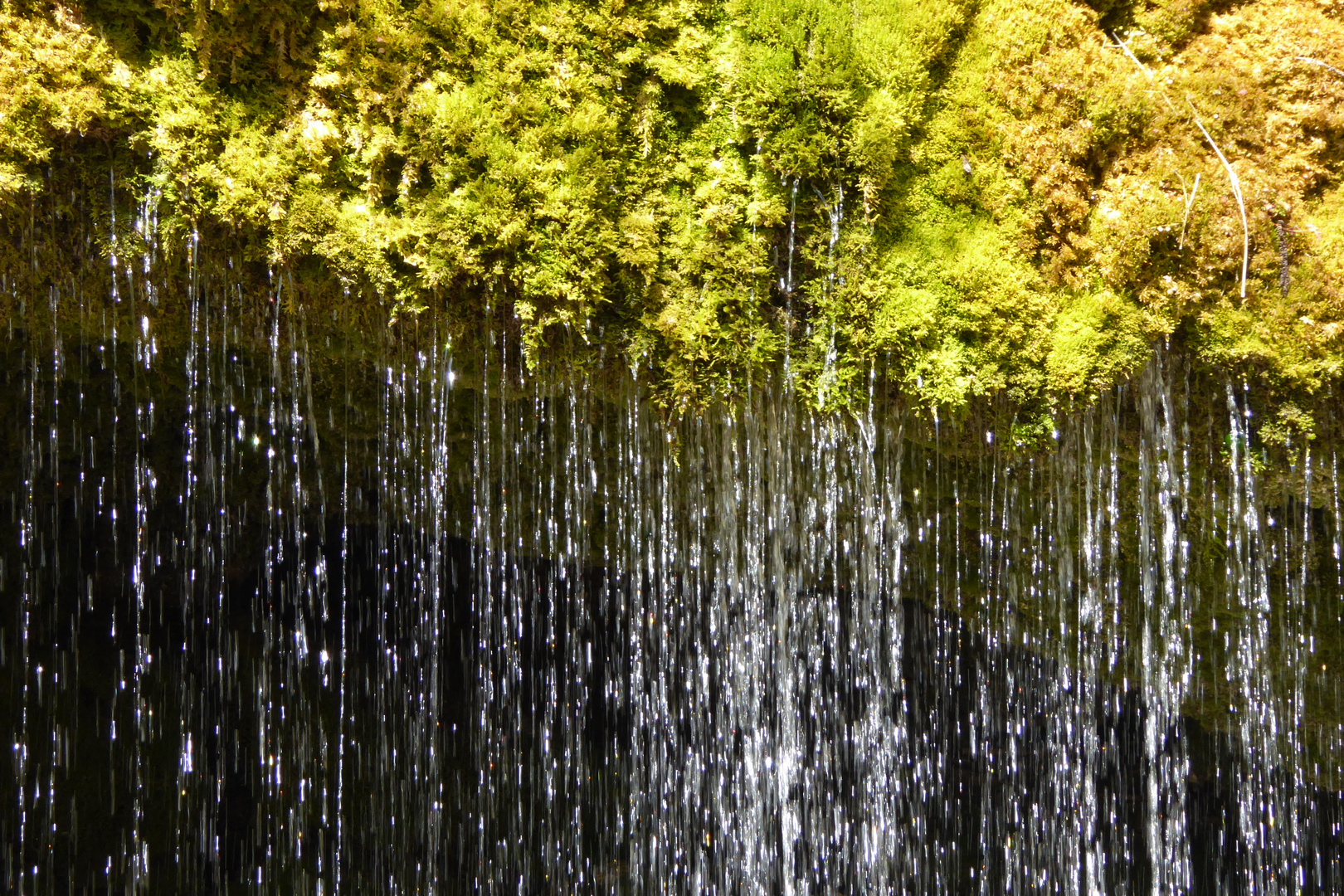 Schwarzwald Wasser II