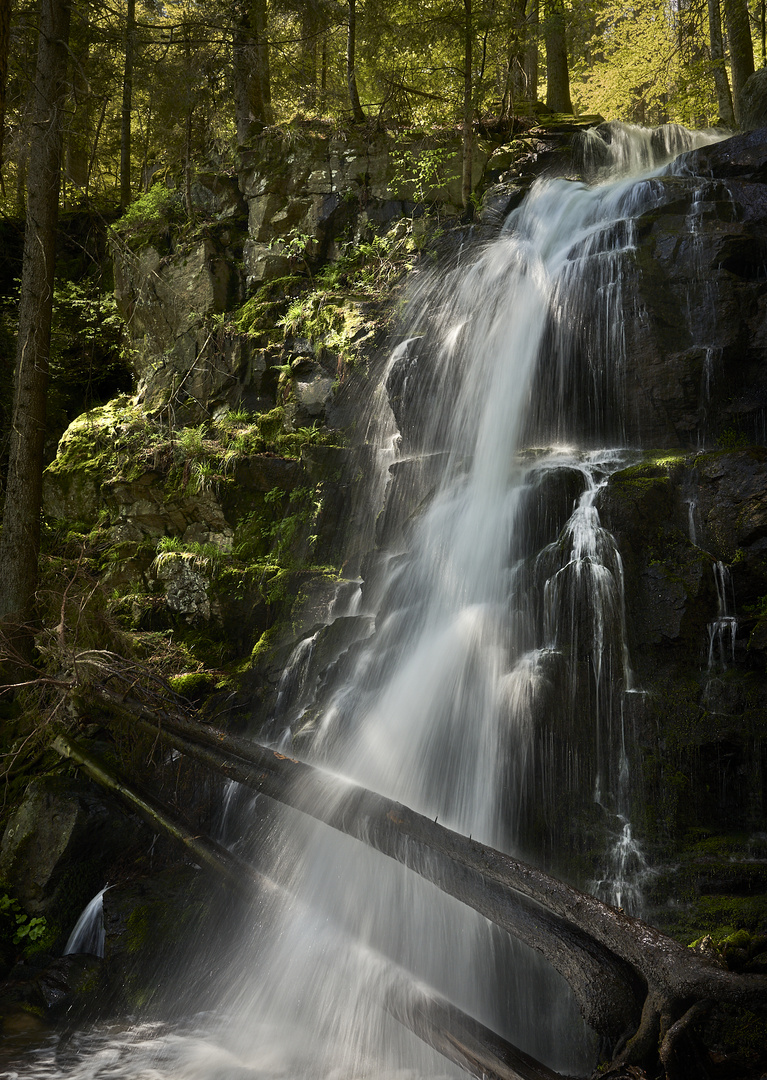 Schwarzwald Wasserfall 2