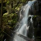 Schwarzwald Wasserfall 2