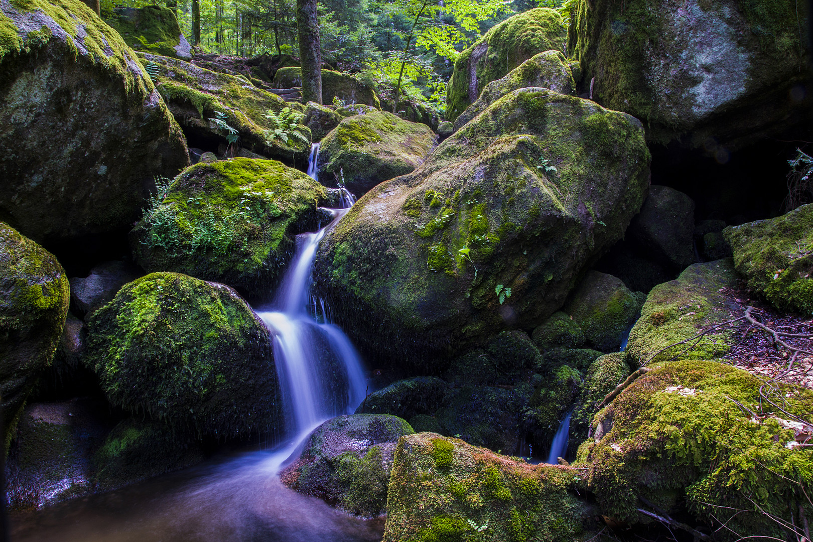 Schwarzwald Wasserfall Bühlertal