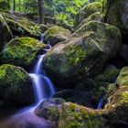 Schwarzwald Wasserfall Bühlertal