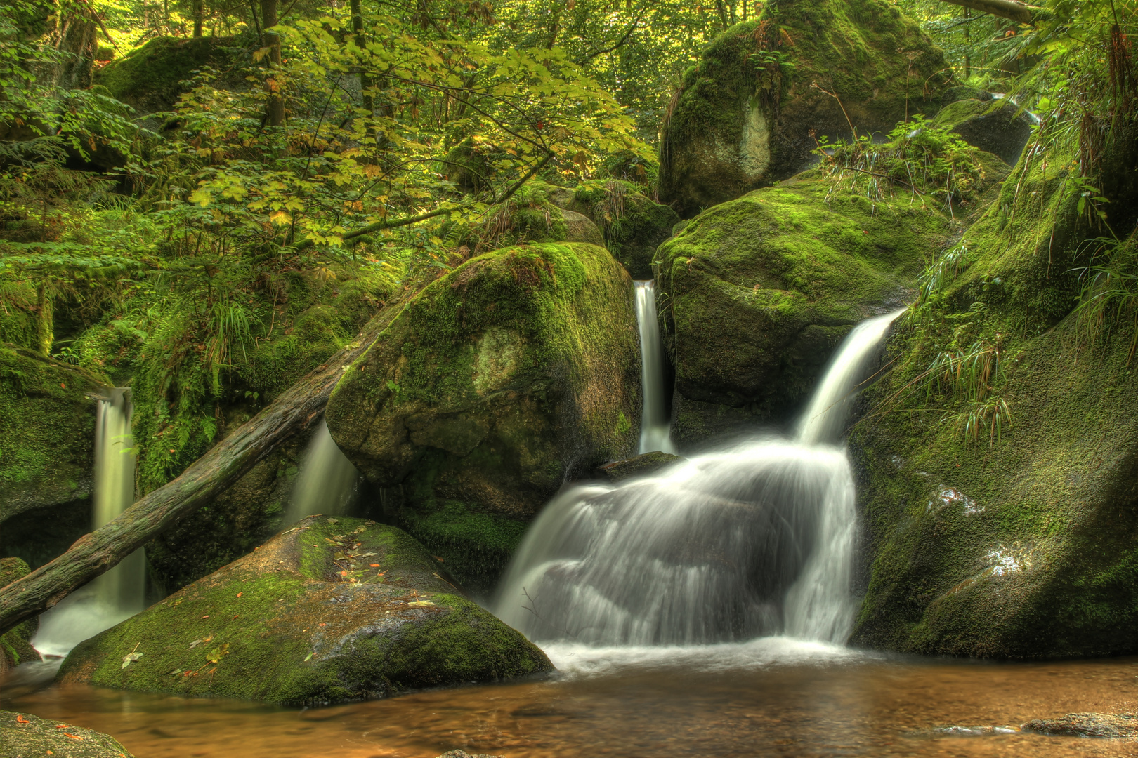 Schwarzwald Wasserfall