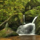 Schwarzwald Wasserfall