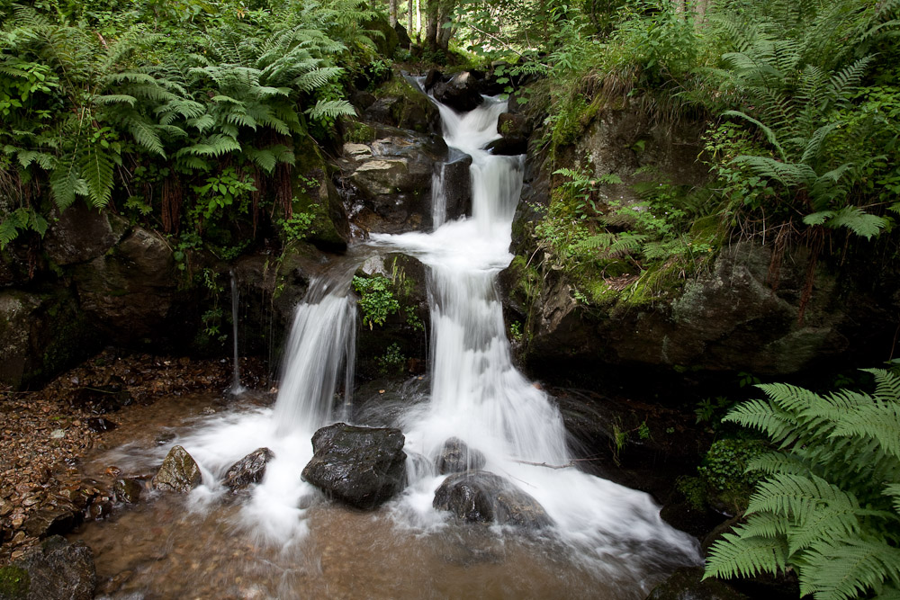 Schwarzwald Wasserfall