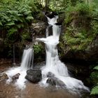 Schwarzwald Wasserfall