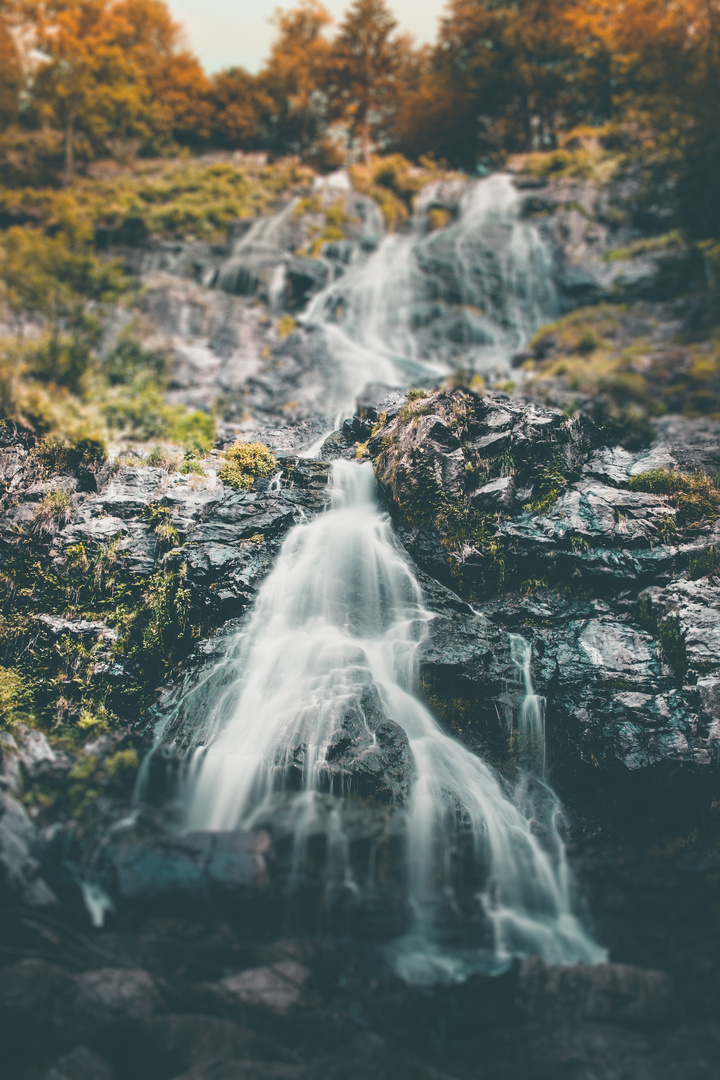 Schwarzwald Wasserfall