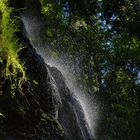 Schwarzwald Wasserfall II