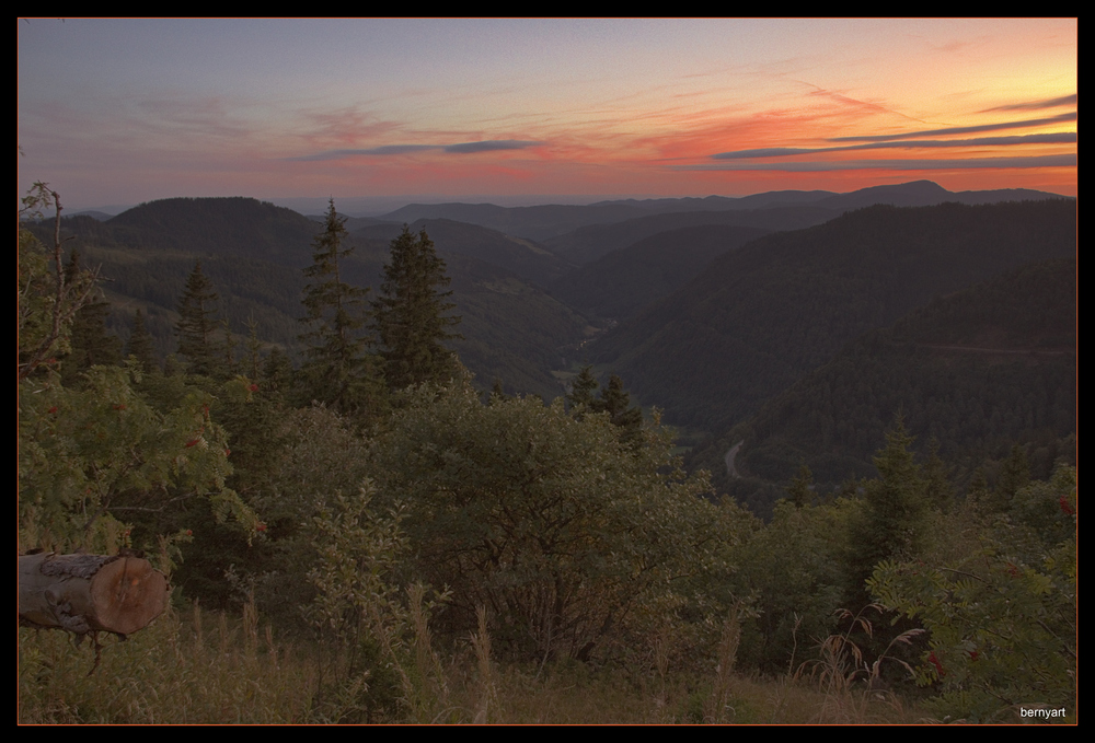 Schwarzwald, wie wir ihn mögen