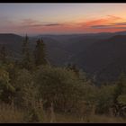 Schwarzwald, wie wir ihn mögen