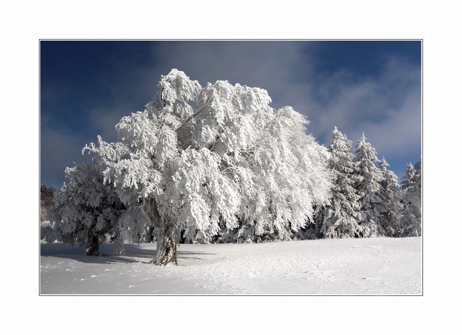 Schwarzwald-Winter 1