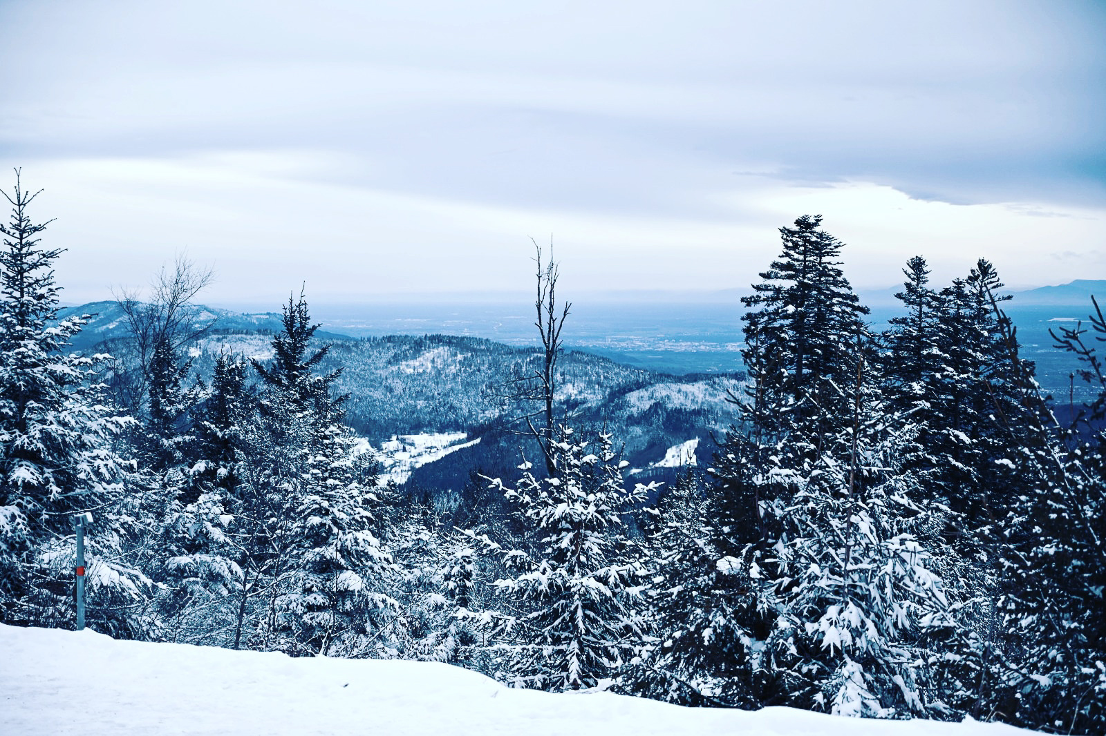 Schwarzwald Winter