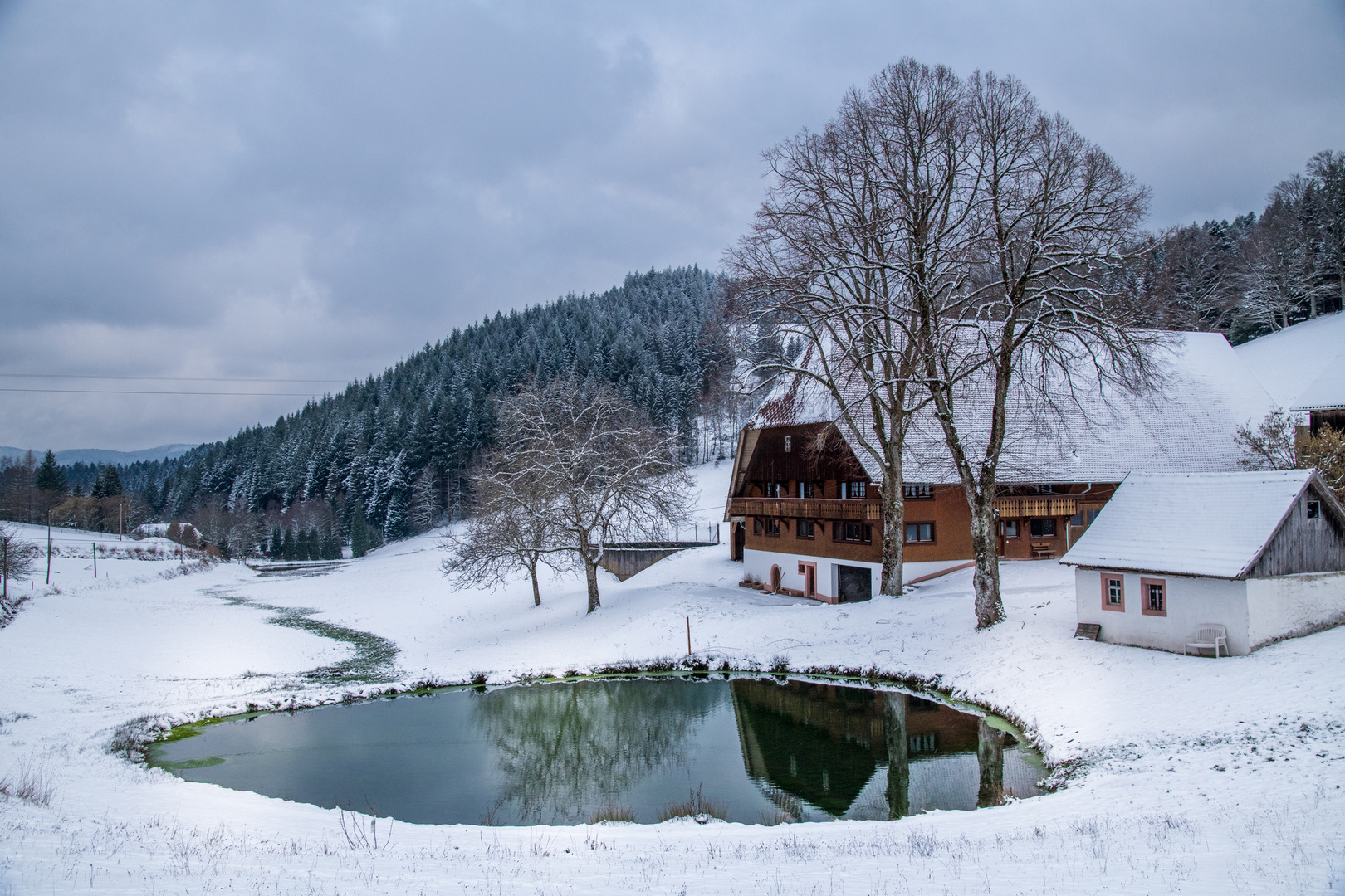 Schwarzwald-Winter