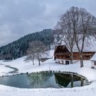 Schwarzwald-Winter