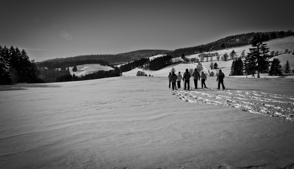 Schwarzwald Winter (I)