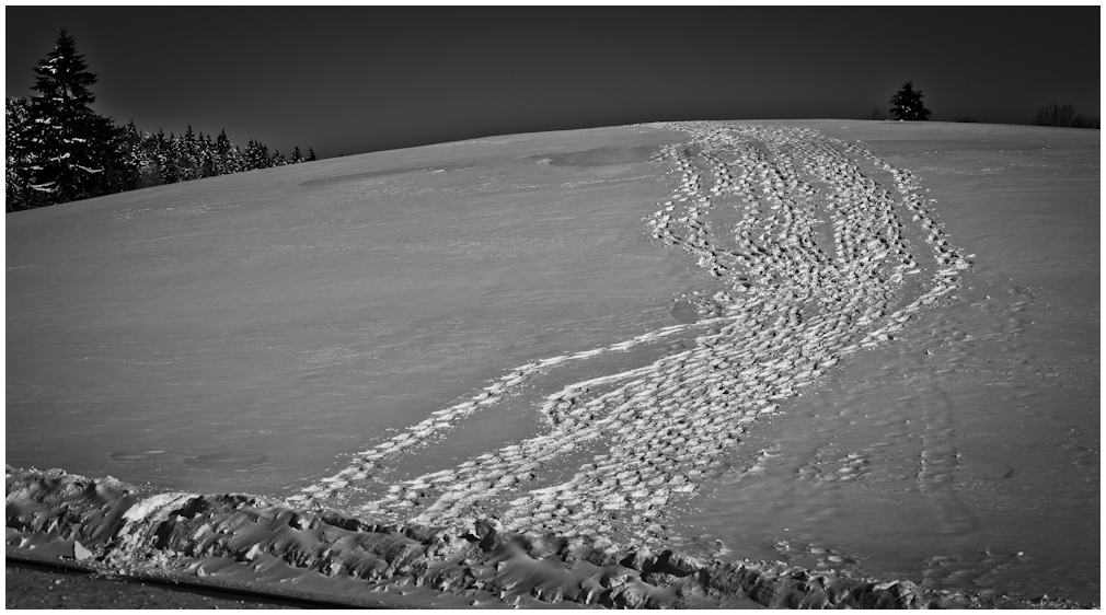 Schwarzwald Winter (II)